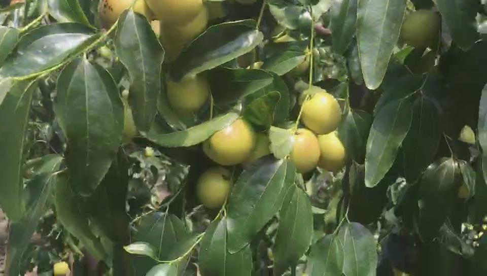 產品視頻